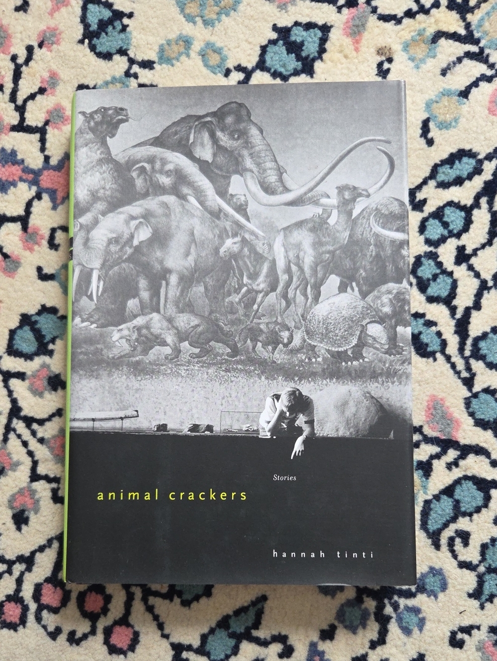 📦Animal Crackers by Hannah Tinti (Hardcover)